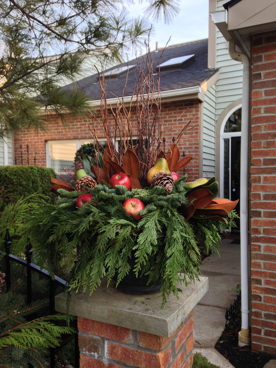 Kelley's Holiday Containers - FineGardening