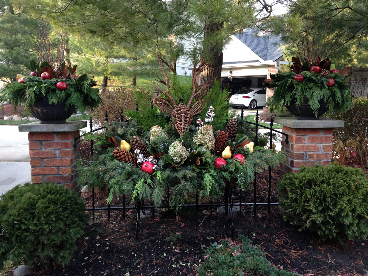 Kelley's Holiday Containers - FineGardening