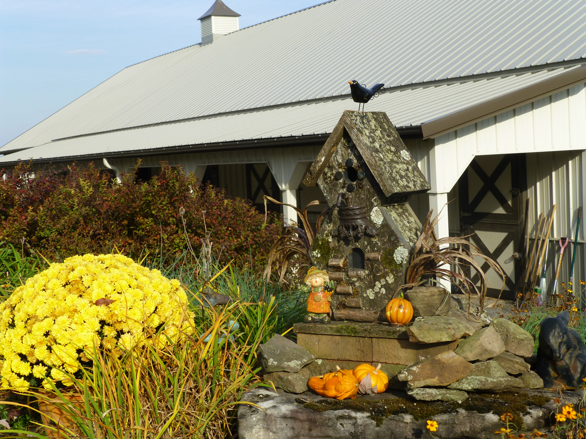 Fall in Michaele's garden in Tennessee (8 photos) - FineGardening