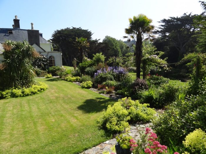 backyard of a house