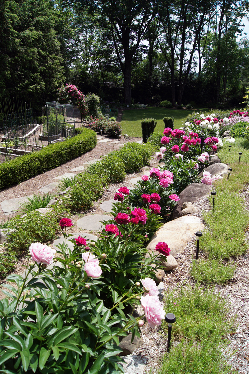 How do you feel about these? Aren't peonies real showstoppers?