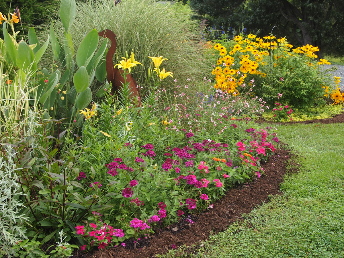 Beth's garden in Maryland, revisited - FineGardening