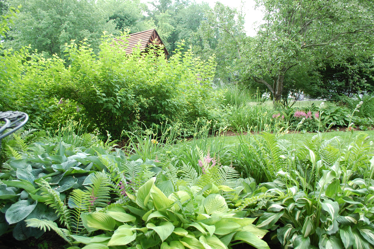 Katie's garden in Ohio, revisited - Fine Gardening