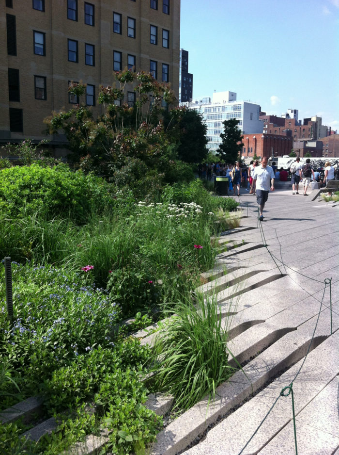 Highline – NYC Public Spaces