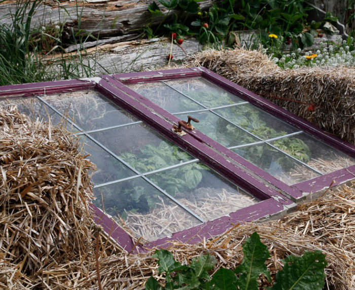 How to Make and Use a Straw Bale Cold Frame