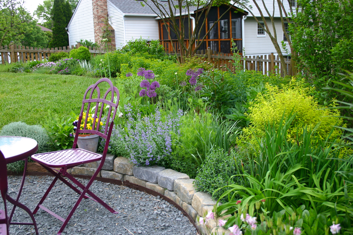 Seating area at the end of the path (In bloom: Allium 'Purple Sensation', Nepeta X faassenii, gaura, euphorbia, and pansies in the foreground, dianthus and geraniums in the background. Budding: Allium multibulbosum, Nigella damascena, Thalictrum flavum ssp. glaucum, Siberian iris, and peonies.