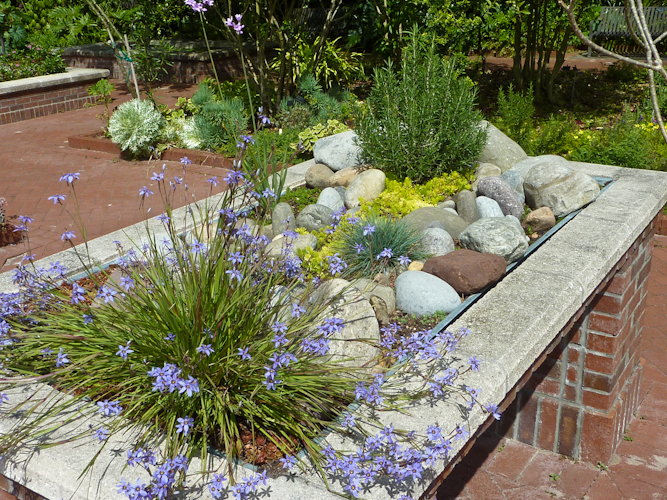 tabletop garden