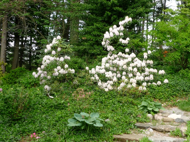 Linda & Terry's garden in Ontario - Fine Gardening