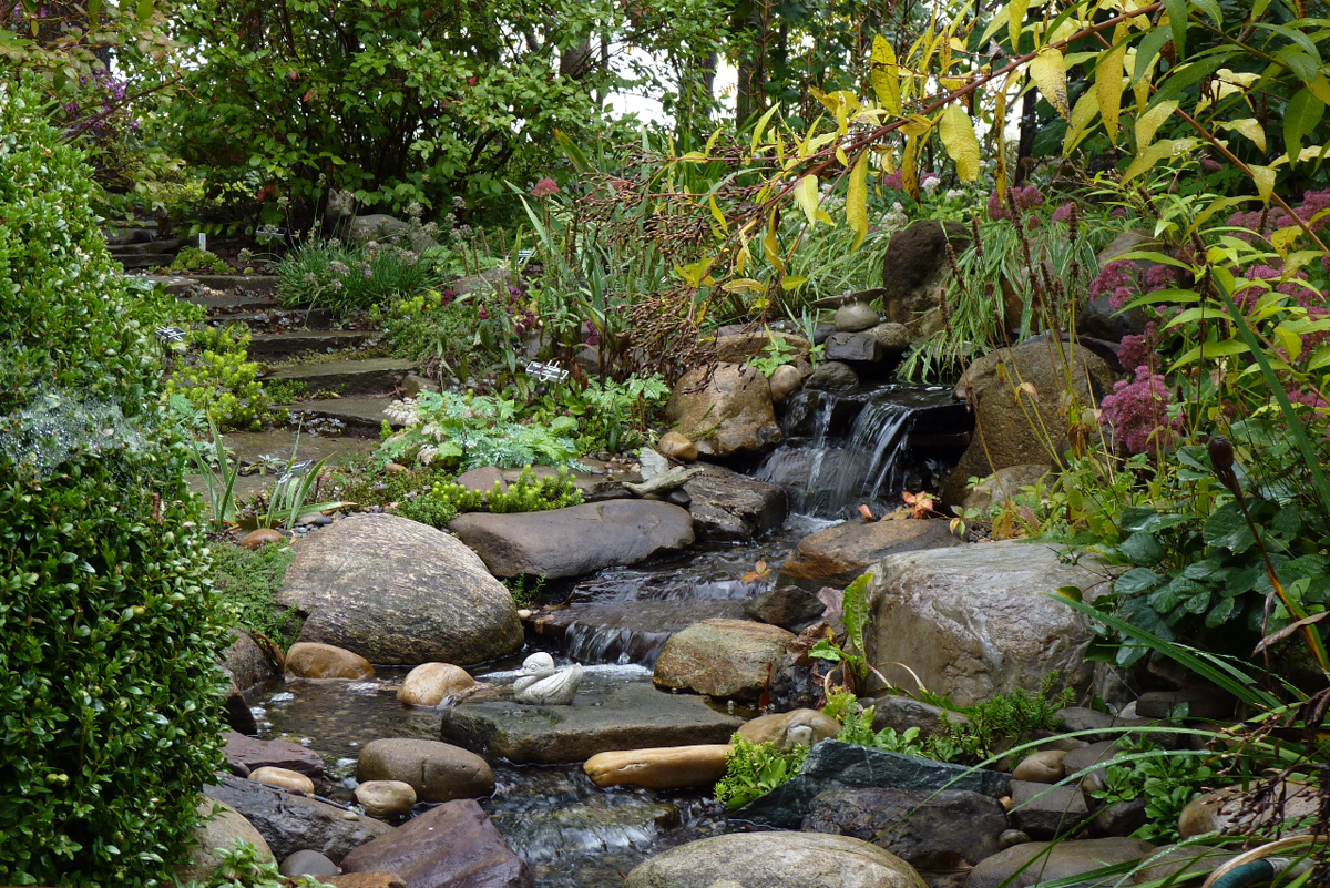 More from Betsy's townhouse garden in New York - FineGardening