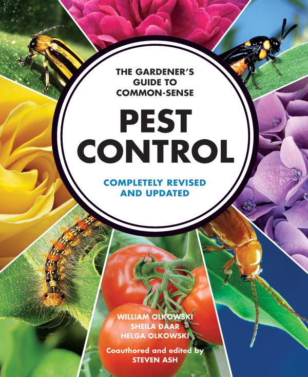 8 Major Pests of Tomato Plants and their Natural Control