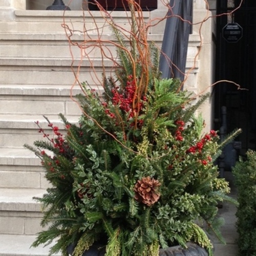 Winter Container Inspiration - Fine Gardening
