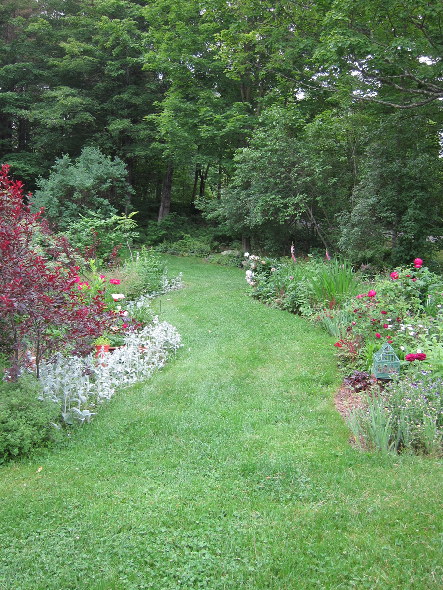 Grass pathway with flowers on either side