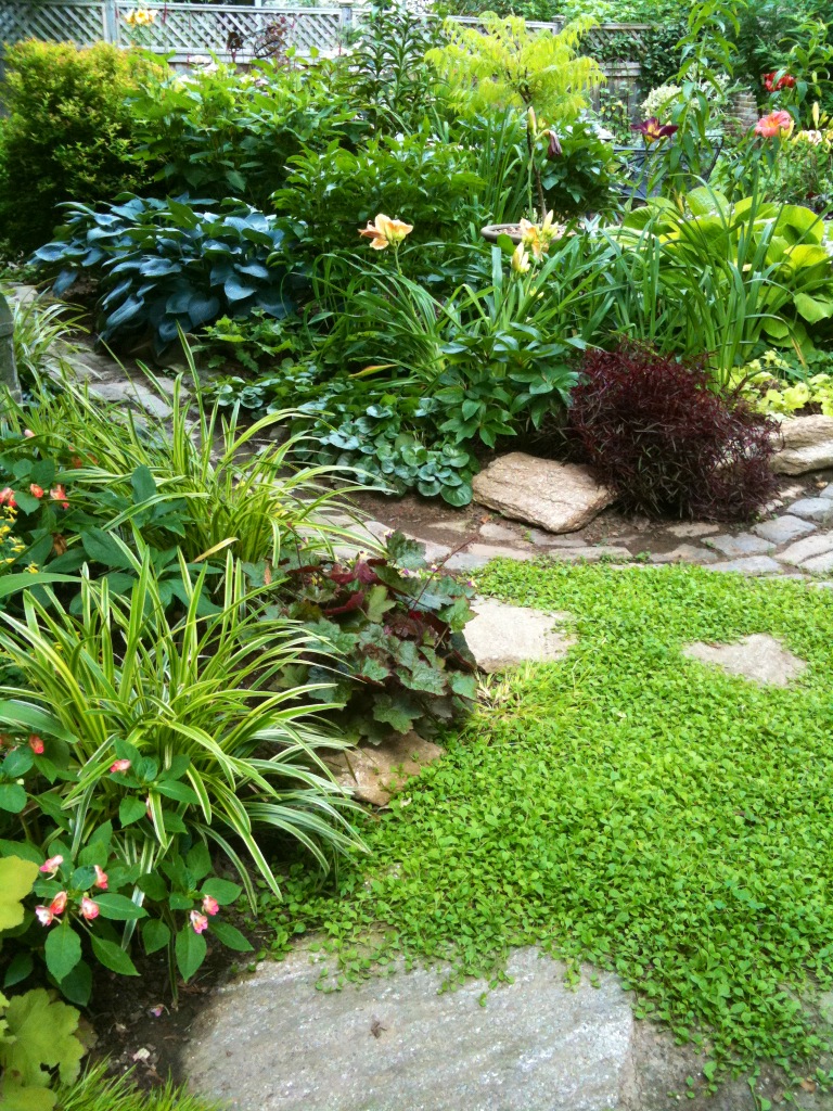 READER PHOTOS! Syd's garden in Pennsylvania - FineGardening