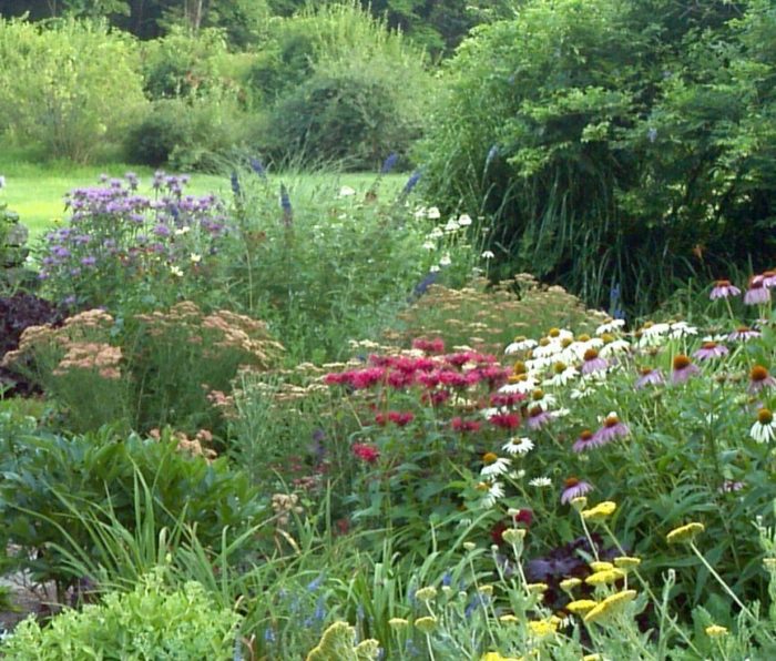 Carla's Cottage Garden in Connecticut, Revisited - FineGardening