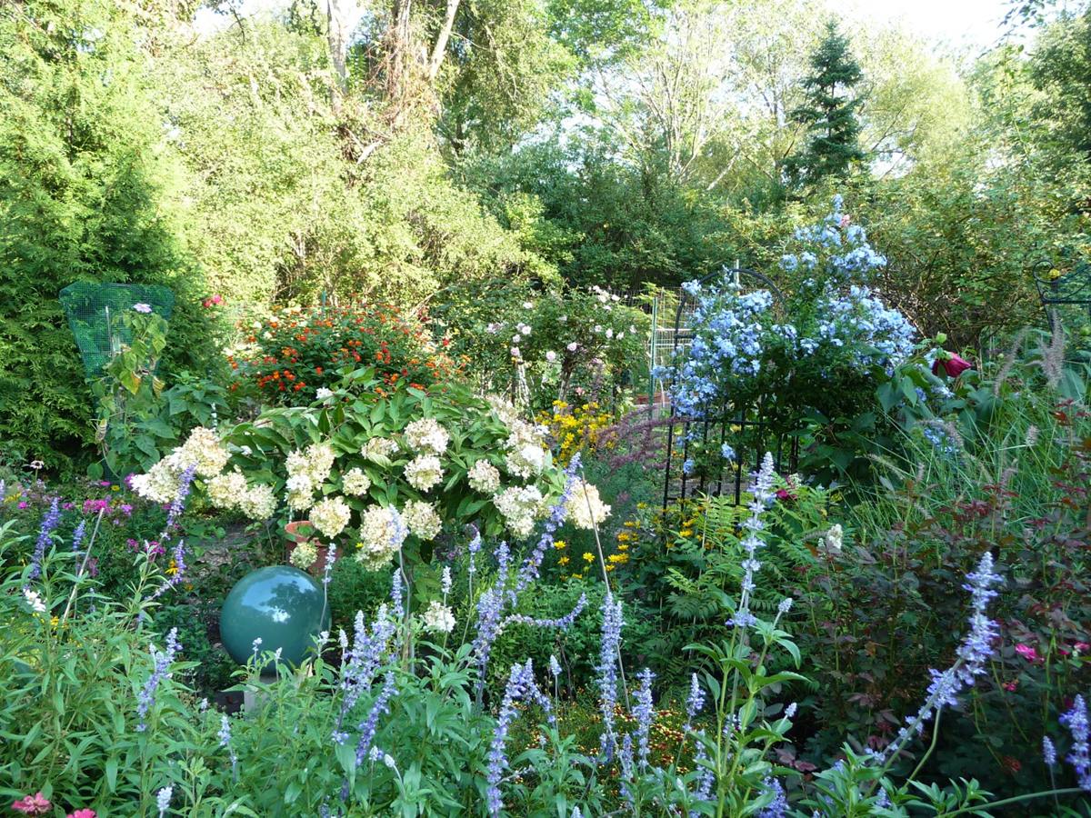 READER PHOTOS! Kristina & Bob's garden in Illinois - FineGardening