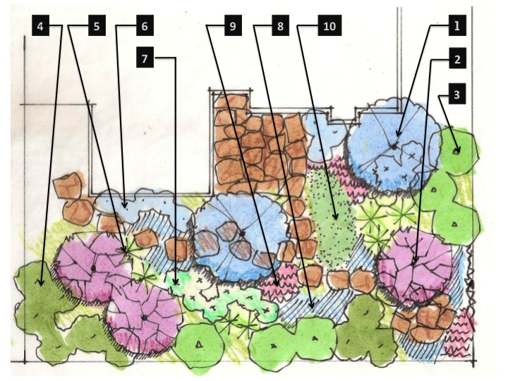 Numbered Plants