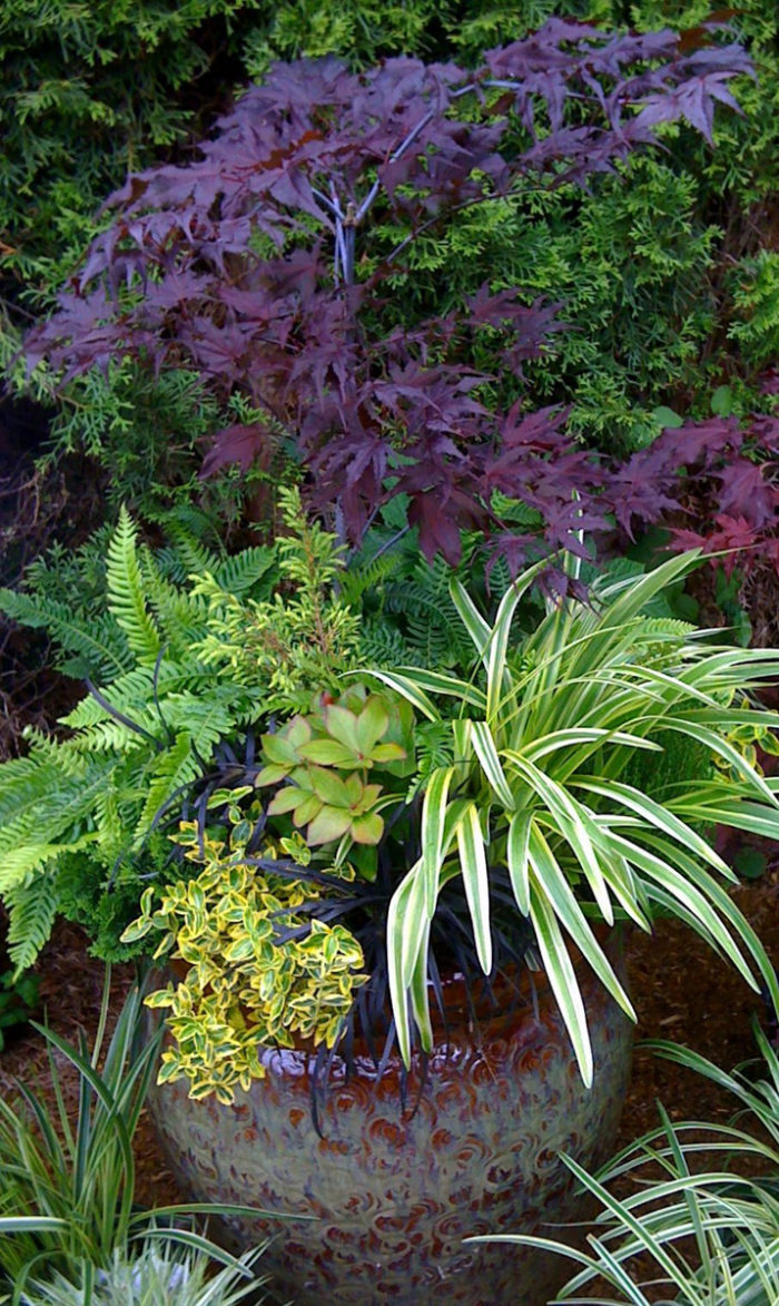 Shelley's container designs in British Columbia