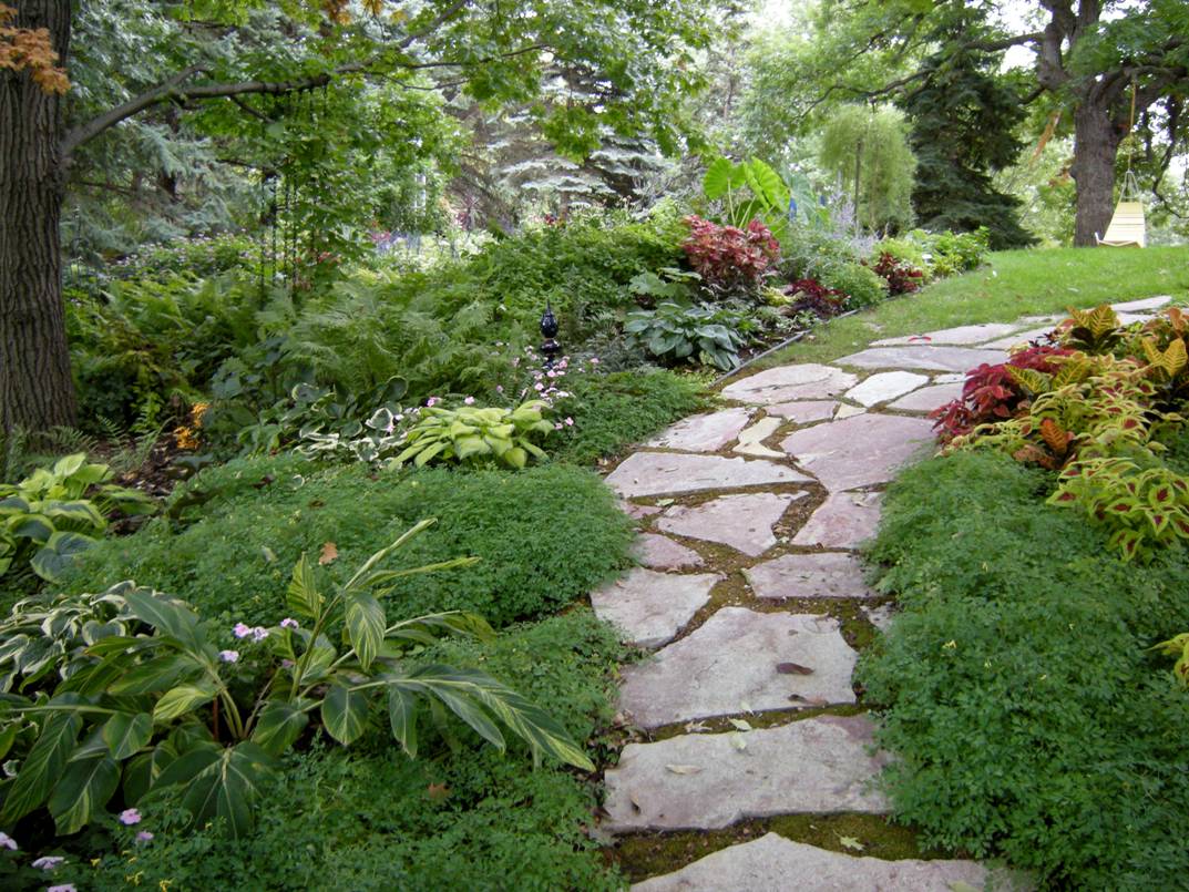 slightly sloped stone walkway with plants on either side