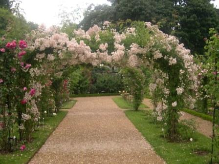 Pathway with roses on an arch over it