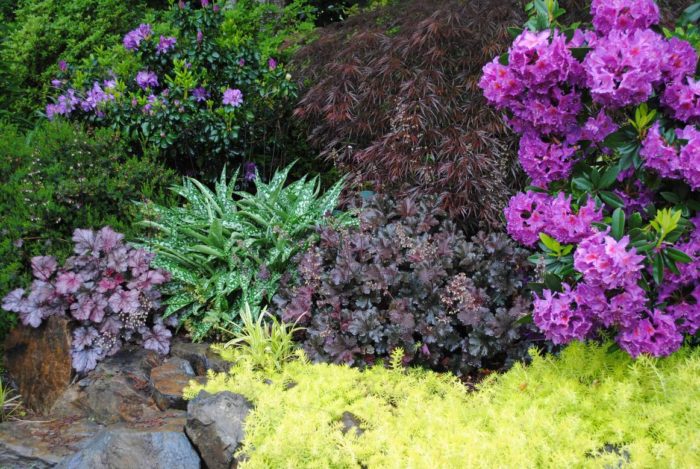 READER PHOTOS! Linda's Garden in California - FineGardening