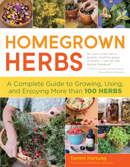 Homegrown herbs book cover