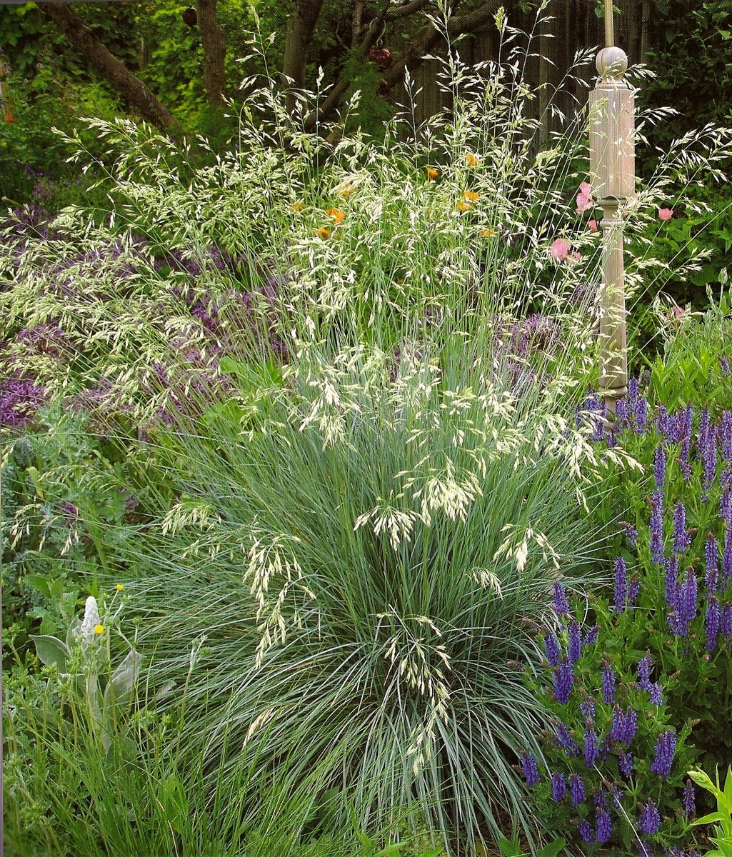 Win a copy of Designer Plant Combinations! - FineGardening