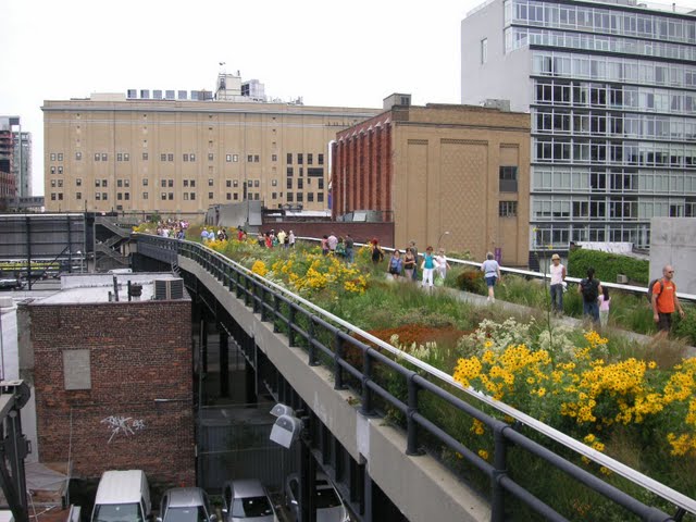 The High Line - FineGardening