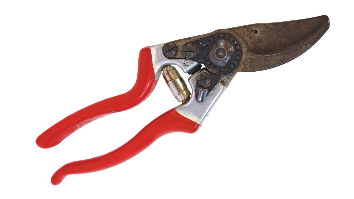 Essential Tools for Pruning - FineGardening