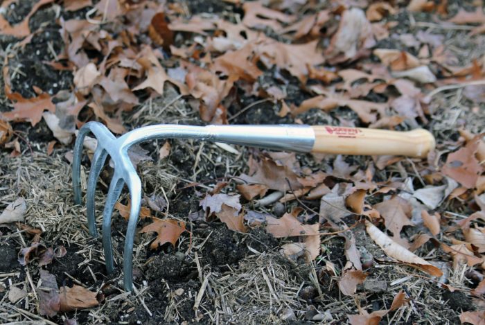 This Garden Tool is a Must-Have - FineGardening