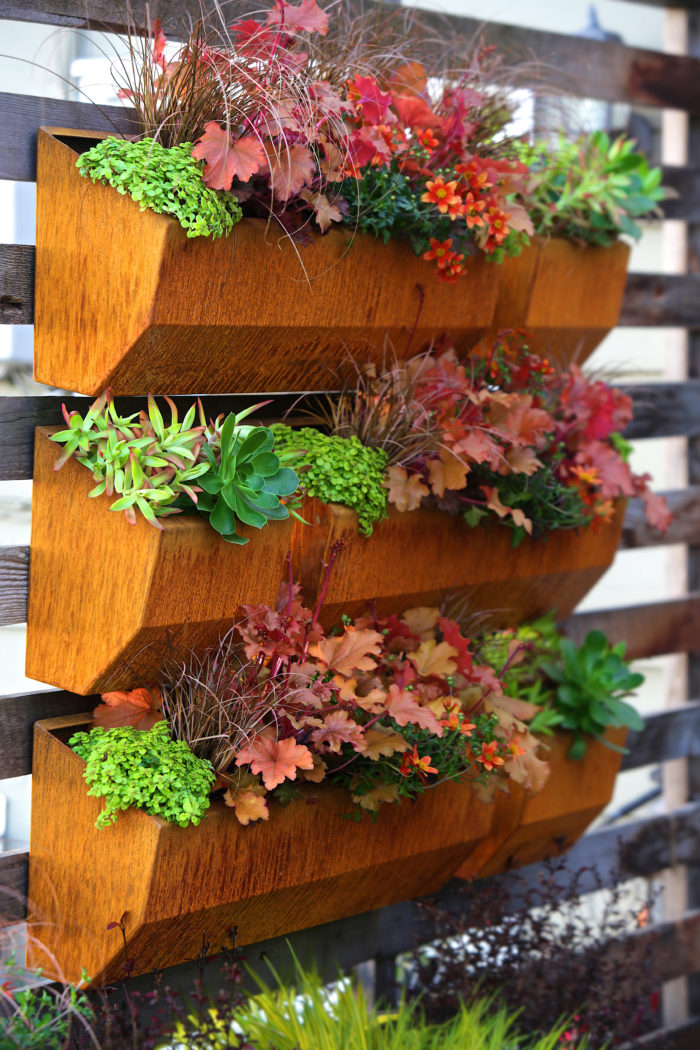 Leo Wall Planters