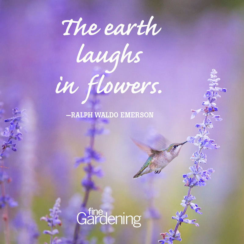 Ten Of The Best Spring Quotes Fine Gardening