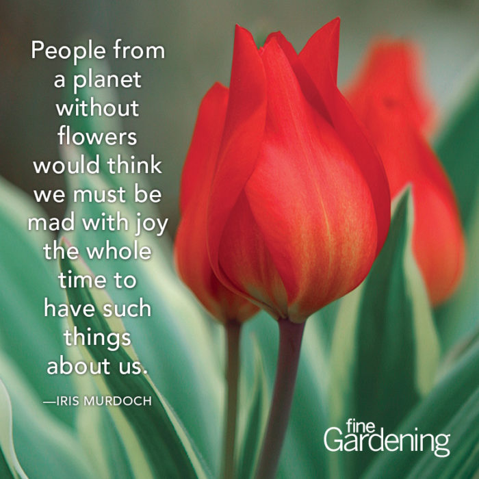 Ten of the Best Spring Quotes - Fine Gardening