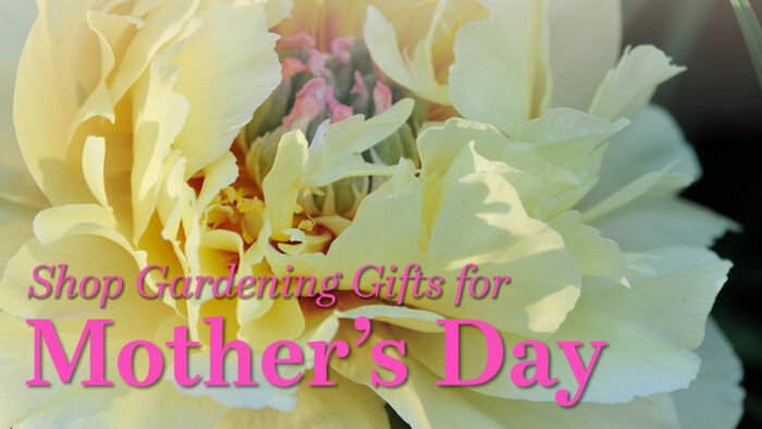 Best Gardening Gifts for Mom: 25 Unique Ideas for Mother's Day – Lomi