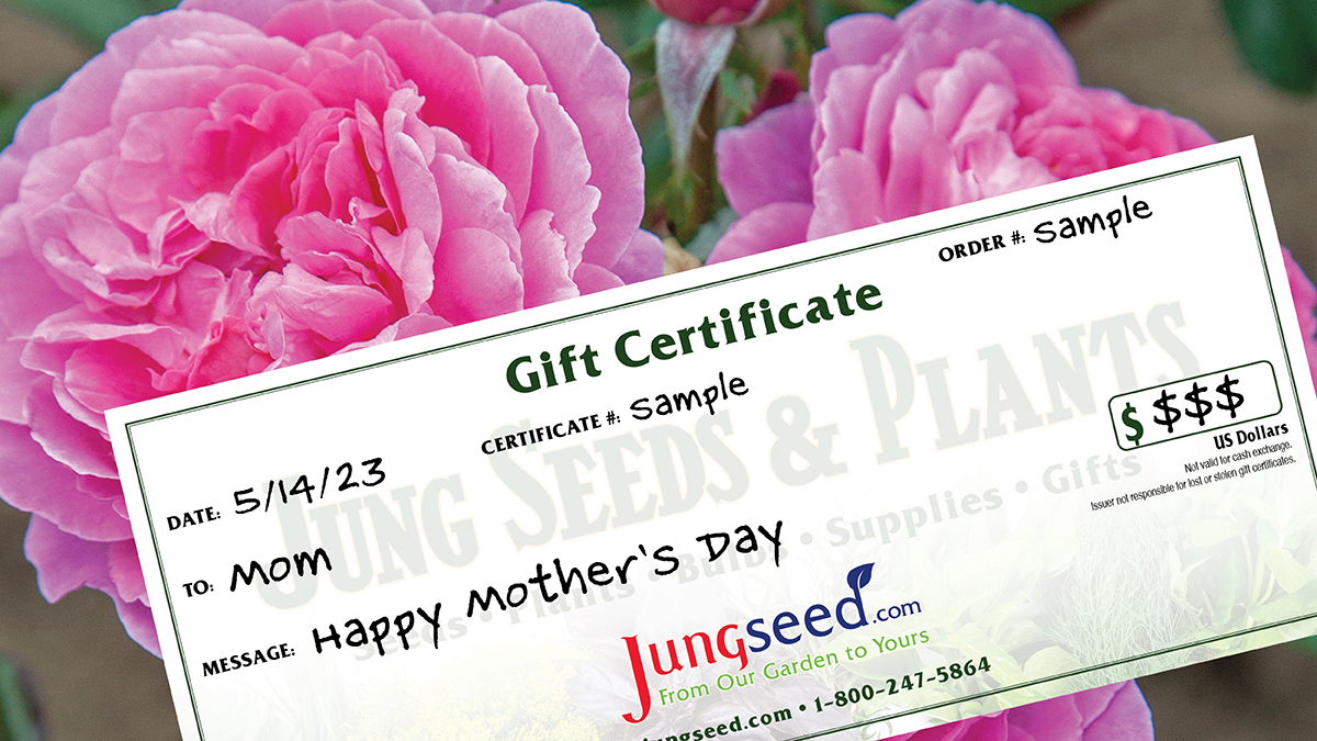 https://images.finegardening.com/app/uploads/2018/03/17090210/JungseedAd_MothersDay_1200x675.jpg