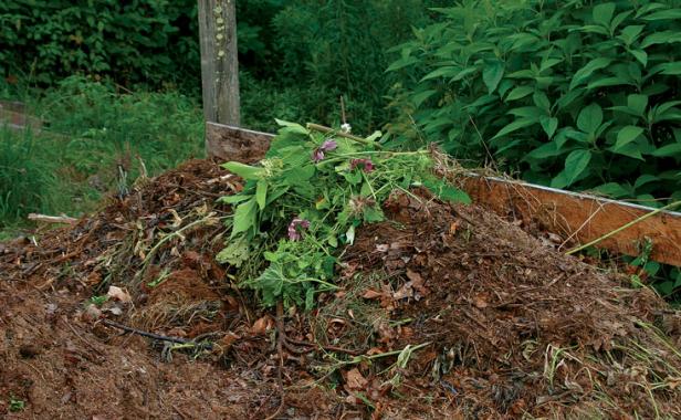 starting a compost pile