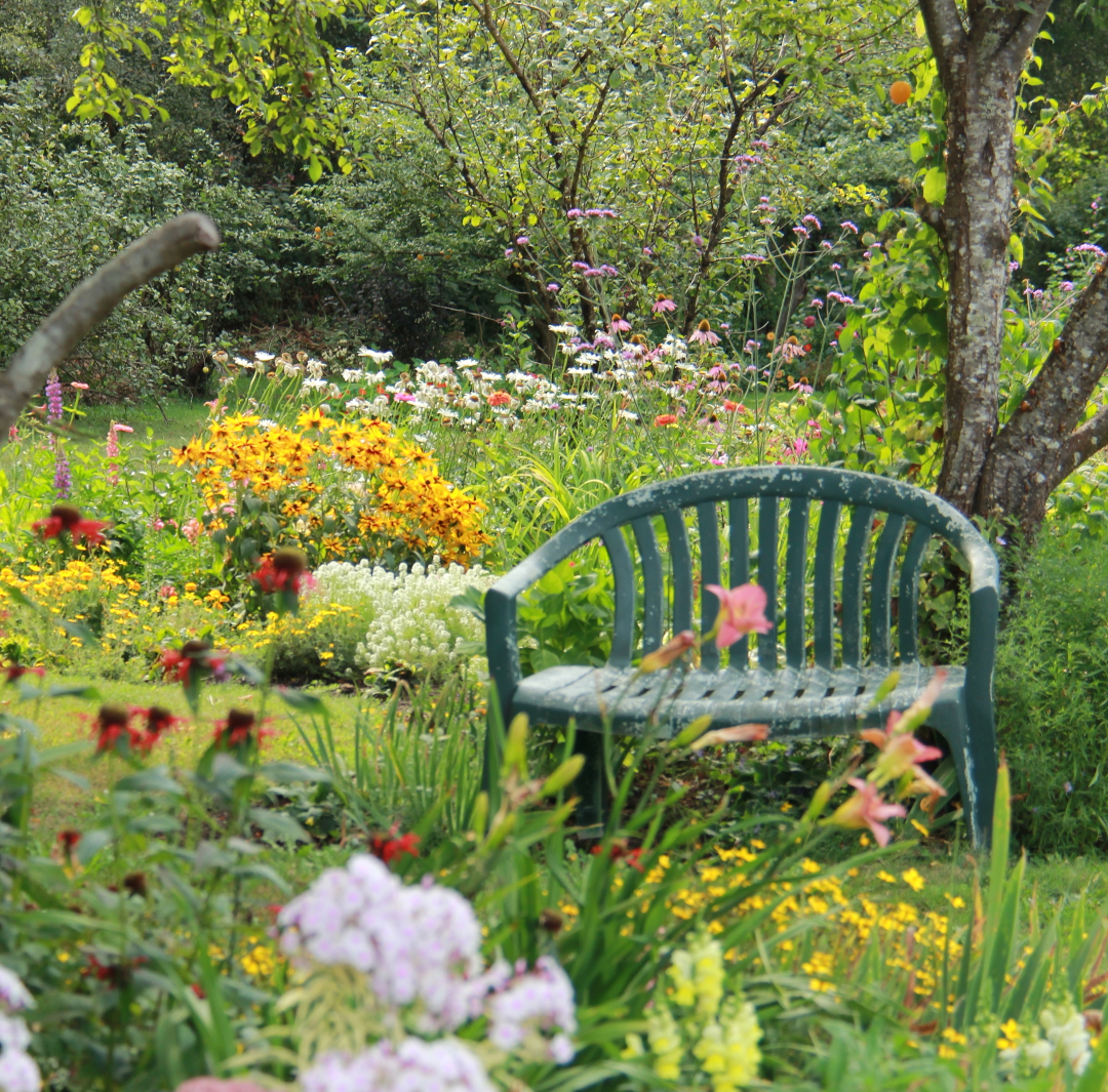 How to Create A Dream Garden