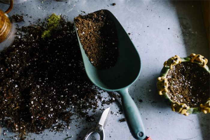 soil in a shovel on a table