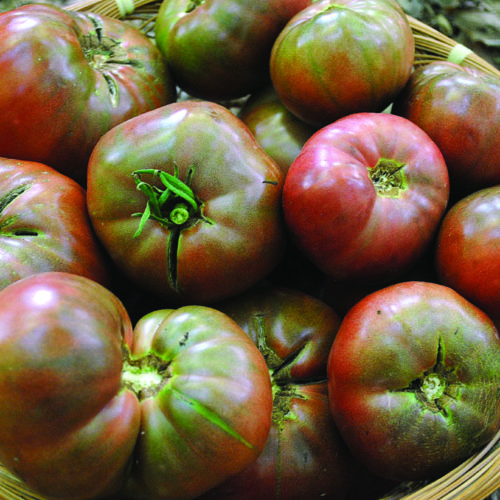 ‘Cherokee Purple’ tomato