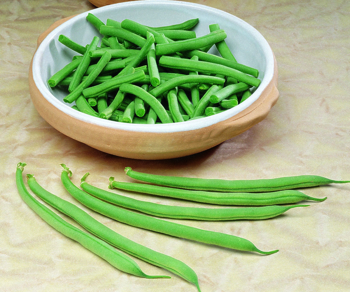 ‘Fin de Bagnol’ bush bean