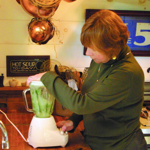 making Japanese beetle repellent in a blender