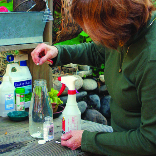 dissolving aspirin in a botte of water