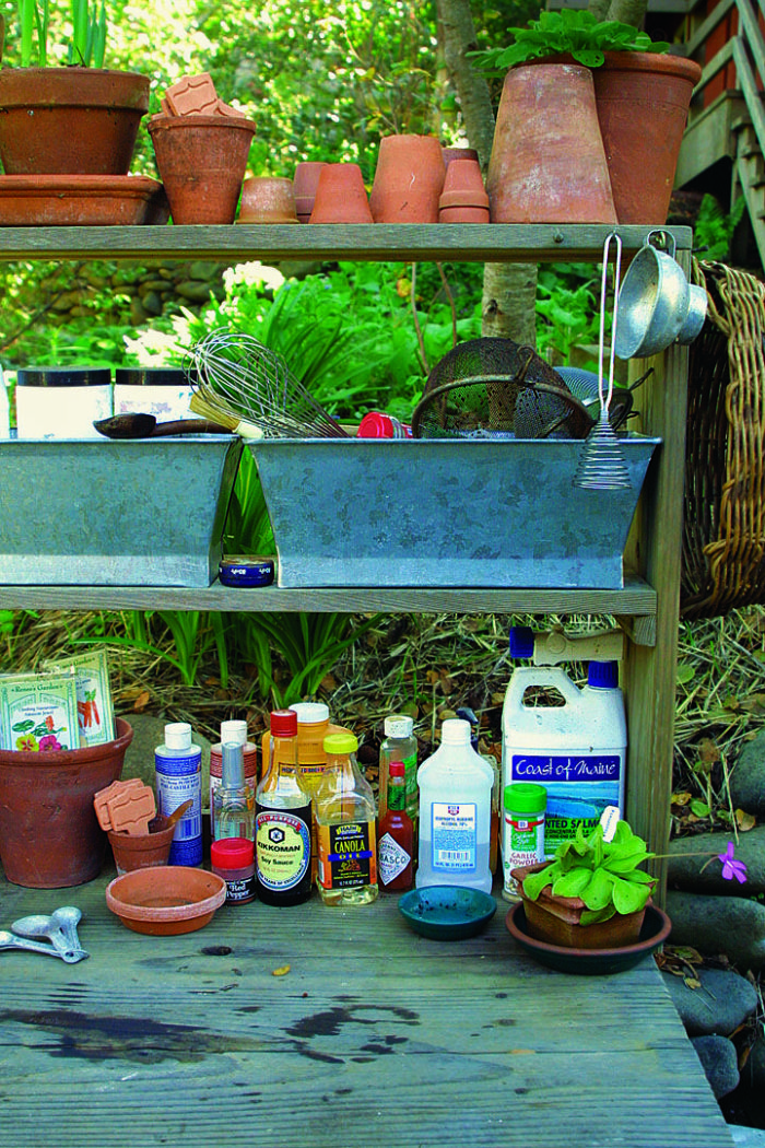 Ingredients for homemade pest repellents on a potting table