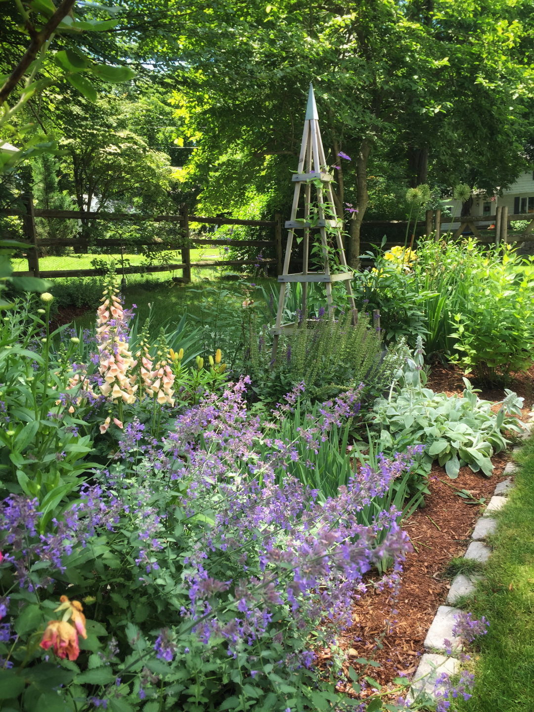 Clematis Obelisk