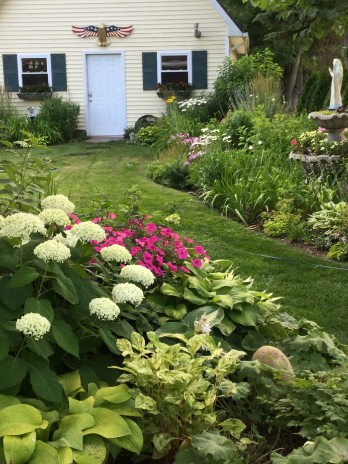 Packed with Beauty, Part 2 - FineGardening