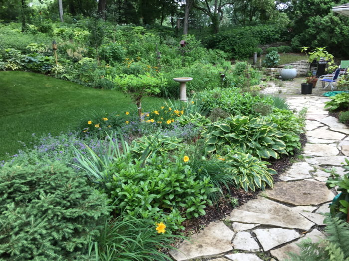 Eliminating Invasive Weeds to Make a Garden - FineGardening