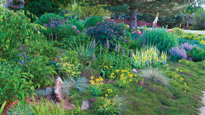 water-wise garden design