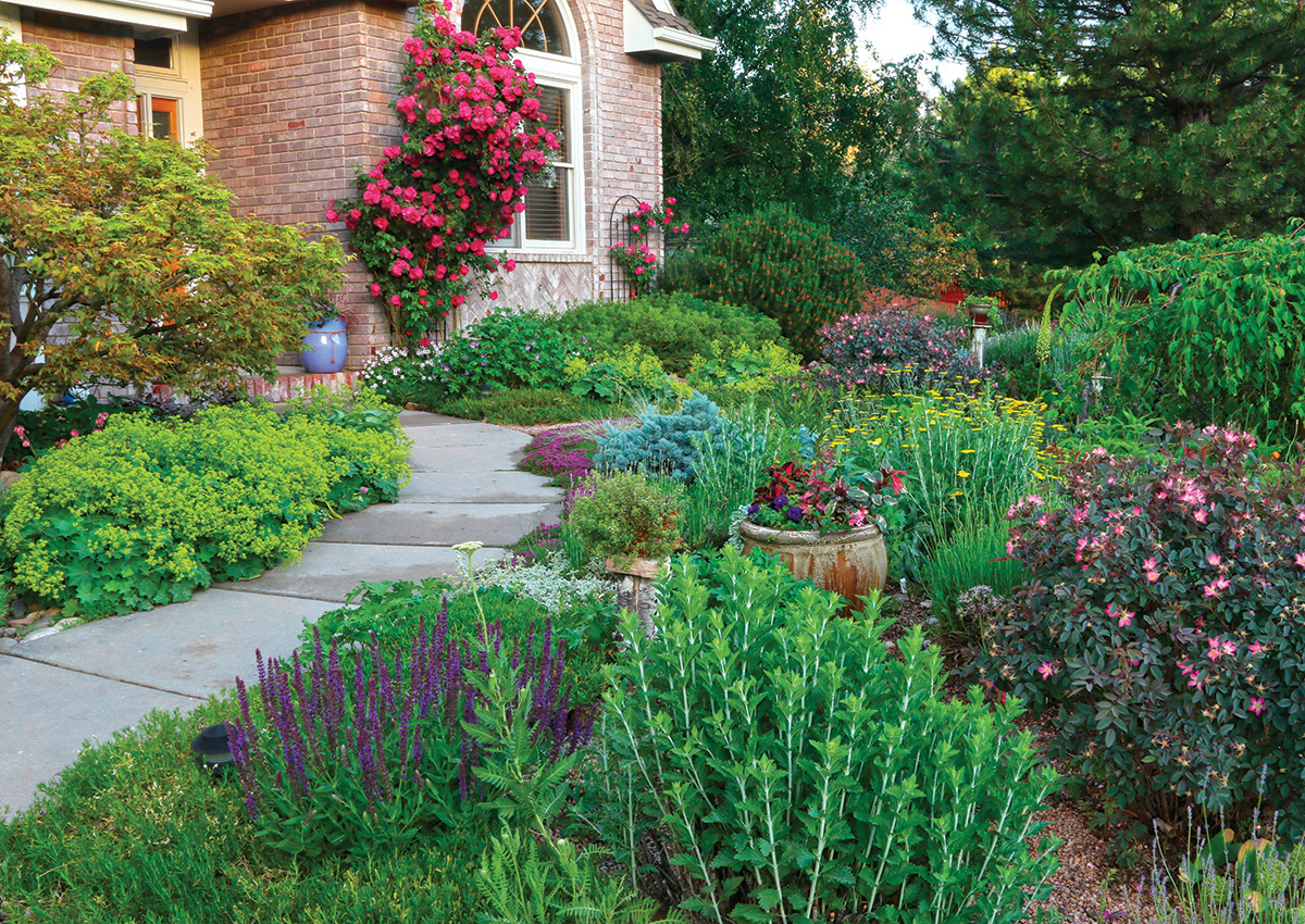 Xeriscaping (Water-wise gardening): 2