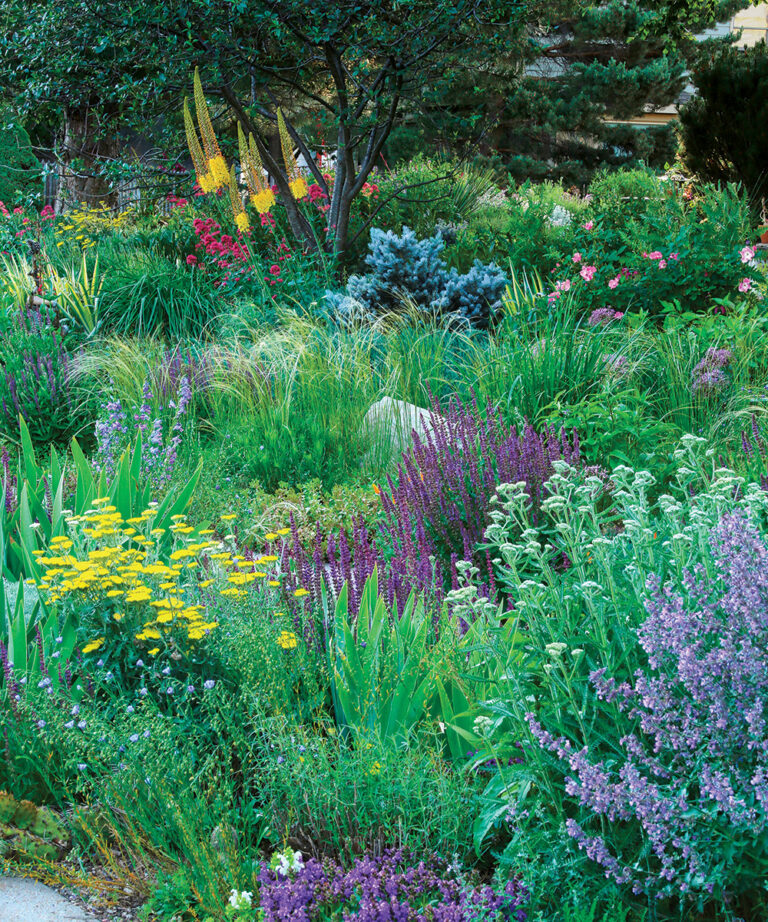 A Water-Wise Garden That Wows - FineGardening