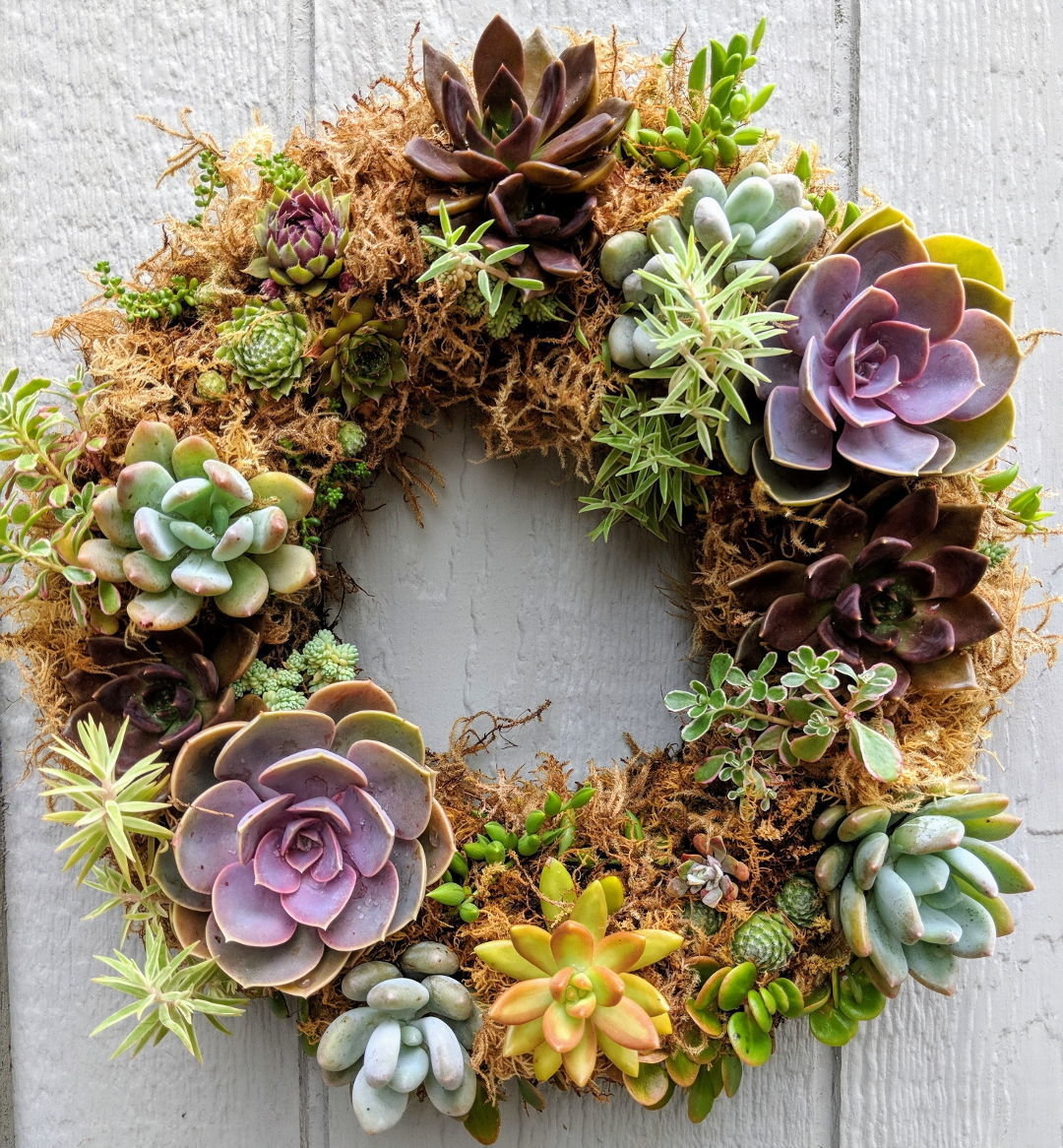 Succulent wreath deals