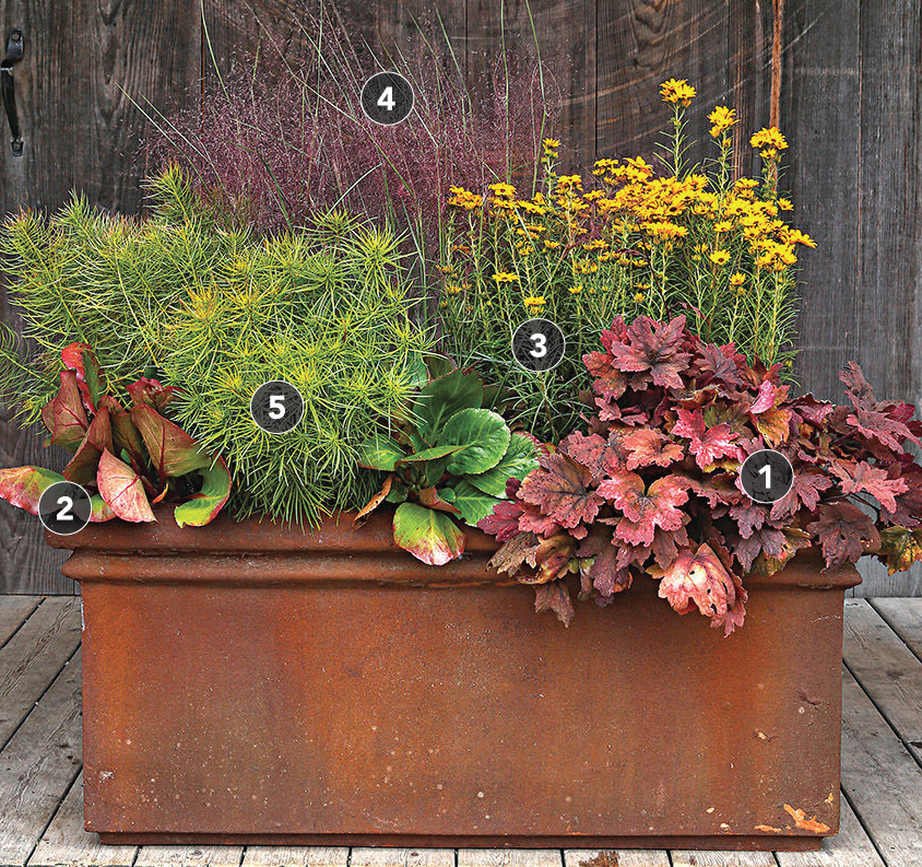 Autumn planter deals